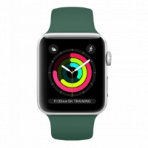 Ремешок Silicone Copy 42mm Pine Green