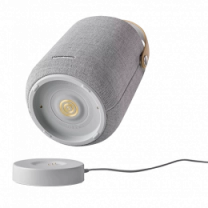 Акустика Harman-Kardon Citation 200 Gray (HKCITATION200GRYEU)