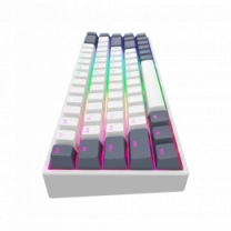 Игровая клавиатура DARK PROJECT KD68B Mechanical G3MS (ENG/UA) Белый / Темно синий