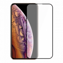 Защитное стекло SIM (by iLera) 3D для iPhone X/XS/11 Pro Black