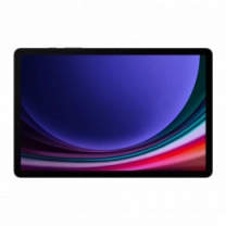 Планшет Samsung  Galaxy Tab S9 5G 256GB Graphite (SM-X716BZAESEK)