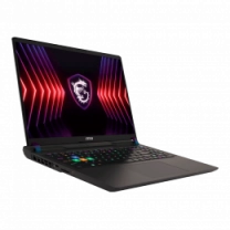 Ноутбук MSI Vector 16 HX A14VHG 16 QHD+, Intel Core™ i9-14900HX, 32GB, F2TB, NVD4080-12, DOS, черный
