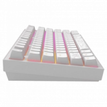 Ігрова клавіатура DARK PROJECT ALU81 Terra Nostra ENG/UA (DPKB_NOSTRA_81_ANSI_WHITE_UA)