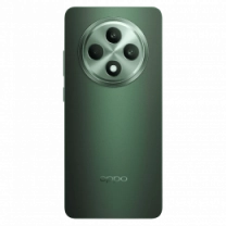 Смартфон OPPO Reno12 FS 12/512GB (black green)