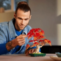 Конструктор LEGO Botanicals Бонсай из японского красного клена