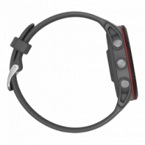 Garmin Forerunner 255 Slate Gray (010-02641-00/10/43)