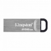 Флеш память DataTraveler Kyson 256GB USB 3.2 Silver/Black DTKN/256GB
