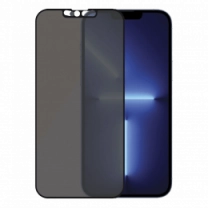 Захисне склоPanzerGlass Apple iPhone 2021 6.7'' Case Friendly Camslider Privacy AB, Black (P2749)