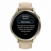 Смарт-часы Garmin Venu 4 41 mm Lunar Gold with Light Sand Leather Band (010-03013-03)