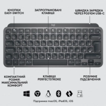 Комплект (клавіатура + миша) LOGITECH MX Keys Mini Combo for Business-GRAPHITE-US (920-011061)