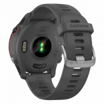 Garmin Forerunner 255 Slate Gray (010-02641-00/10/43)