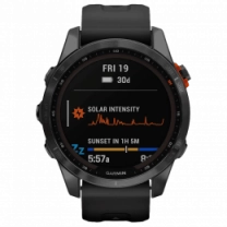 Смарт-часы Garmin Fenix ​​7S Solar Slate Gray with Black Band (010-02539-12/13)