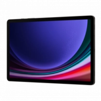 Планшет Samsung  Galaxy Tab S9 5G 256GB Graphite (SM-X716BZAESEK)