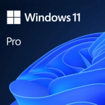 ПЗ Microsoft Windows 11 Pro