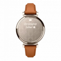 Смарт-годинник Garmin Lily 2 Classic Cream Gold with Tan Leather Band (010-02839-02/60) UA
