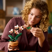 Конструктор LEGO Botanicals Мини орхидея