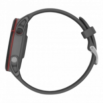 Garmin Forerunner 255 Slate Gray (010-02641-00/10/43)