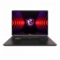 Ноутбук MSI Vector 16 HX A14VHG 16 QHD+, Intel Core™ i9-14900HX, 32GB, F2TB, NVD4080-12, DOS, черный